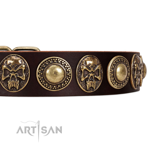 Leather dog collar with studs for walking