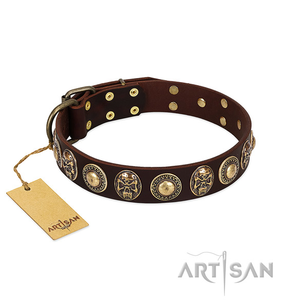 Exceptional full grain leather dog collar for handy use