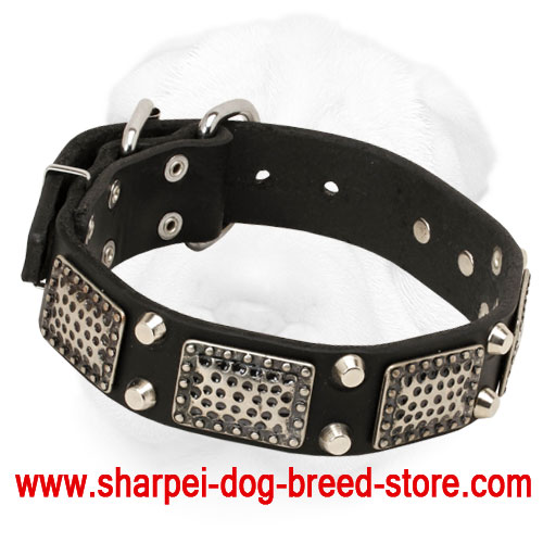 Collar for shops shar pei