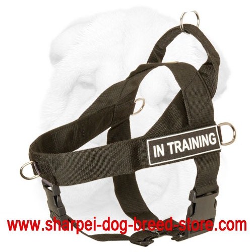 Sar tracking dog clearance harness