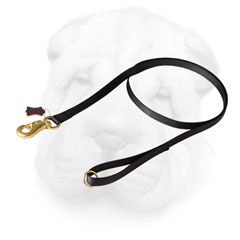 Leash with Snap Hook