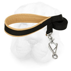 Nylon Leash with Padded Handle for Shar Pei