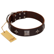 "Cold Star" Designer FDT Artisan Brown Leather Sharpei Collar with Silver-Like Adornments  "Cold Star" Designer FDT Artisan Brown Leather Sharpei Collar with Silver-Like Adornments