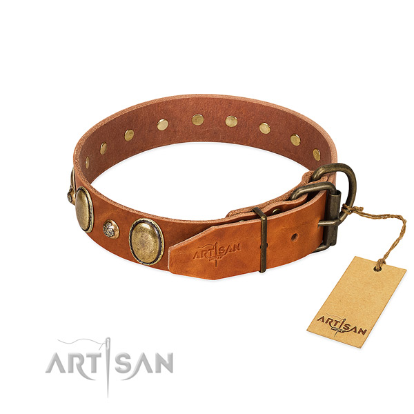 Adorned genuine leather dog collar with durable buckle