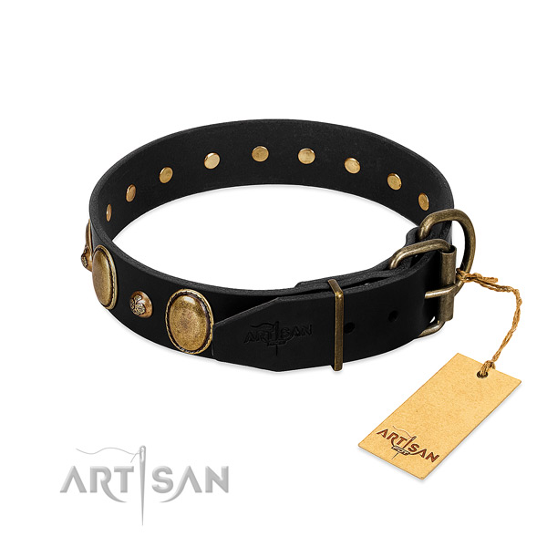 Rust-proof traditional buckle on leather collar for walking your canine