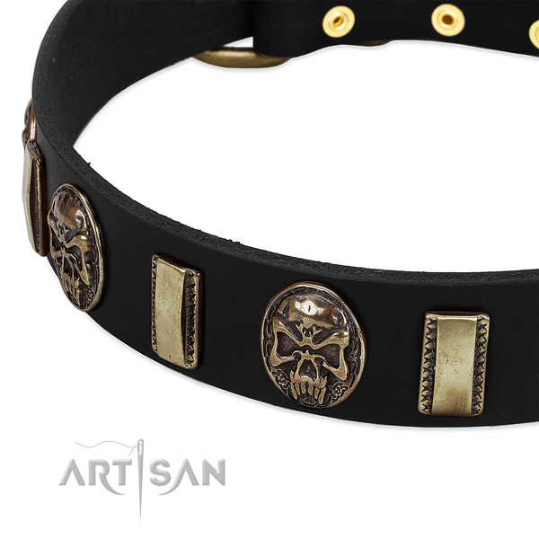 Reliable embellishments on full grain leather dog collar for your canine