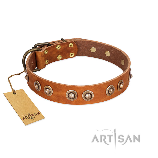 Corrosion resistant traditional buckle on leather dog collar for your canine