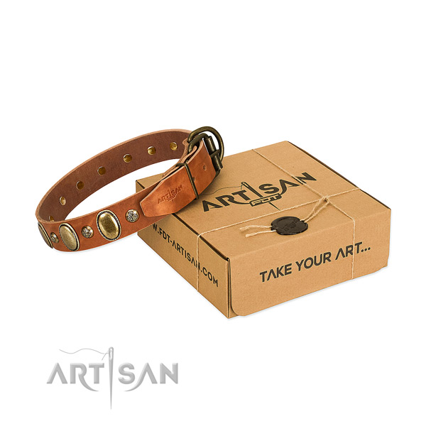 Easy to adjust leather dog collar with rust resistant D-ring