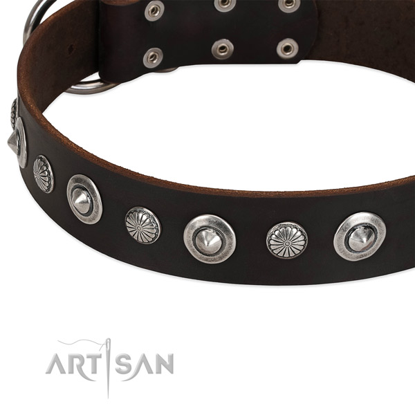Stunning embellished dog collar of high quality full grain leather