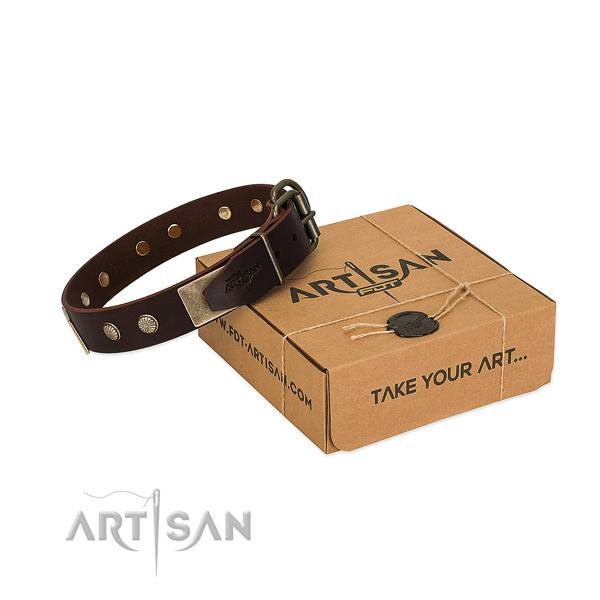 Durable traditional buckle on dog collar for handy use