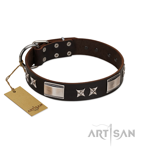Studded dog collar of full grain leather