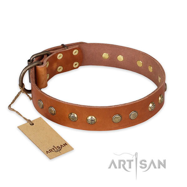 Remarkable leather dog collar with corrosion proof fittings