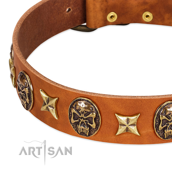 Reliable adornments on full grain genuine leather dog collar for your dog