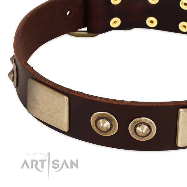 Reliable adornments on full grain leather dog collar for your canine