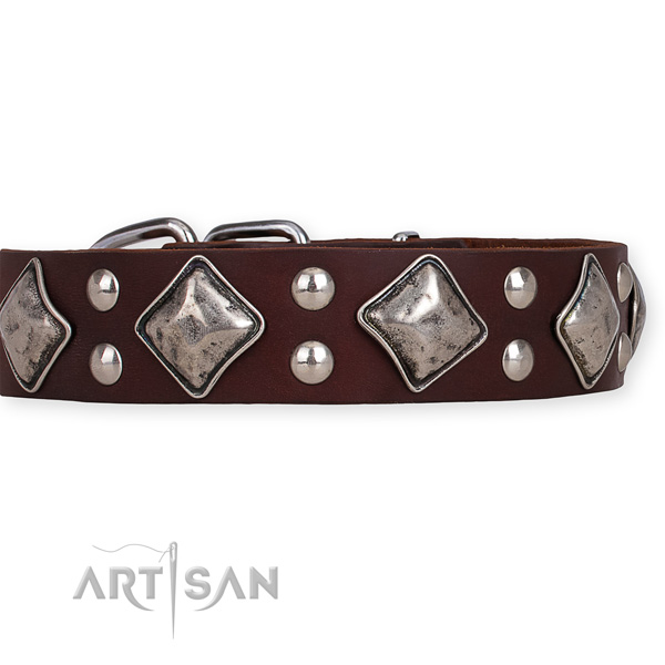 Natural leather dog collar with amazing rust-proof decorations