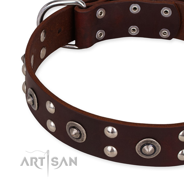 Genuine leather collar with corrosion proof buckle for your impressive pet