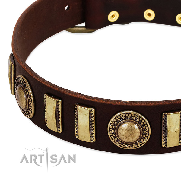 Reliable leather dog collar with durable traditional buckle