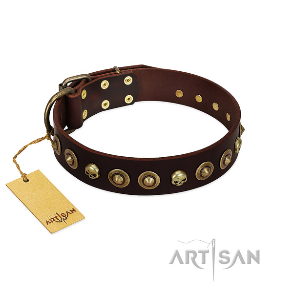Leather collar with stylish embellishments for your pet