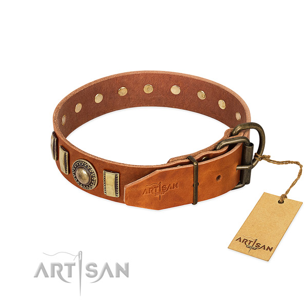 Convenient full grain leather dog collar with corrosion proof hardware