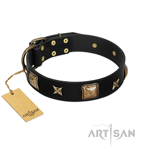 Natural leather dog collar of high quality material with unique adornments
