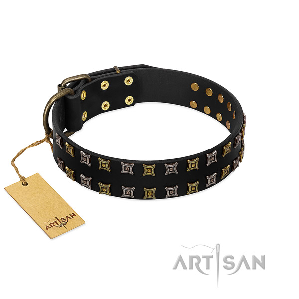 Top notch full grain natural leather dog collar with decorations for your dog