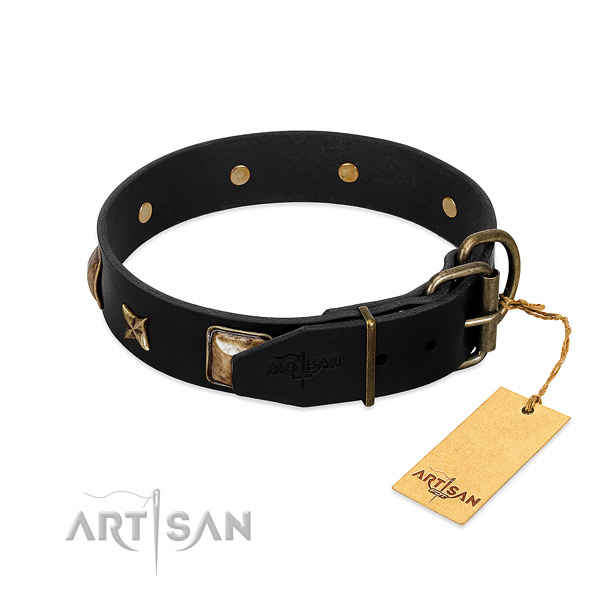 Durable traditional buckle on full grain leather collar for daily walking your four-legged friend