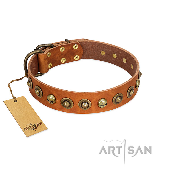 Leather collar with exceptional embellishments for your pet
