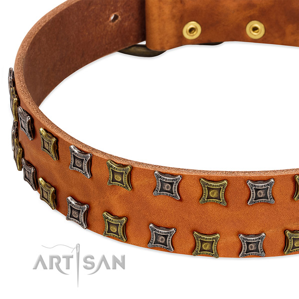 Best quality full grain leather dog collar for your stylish pet