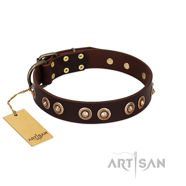 Rust resistant traditional buckle on full grain leather dog collar for your canine