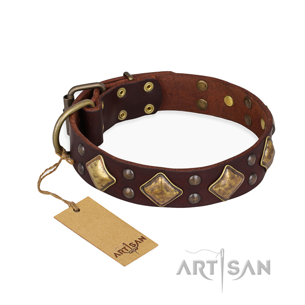 Everyday use embellished dog collar with durable traditional buckle