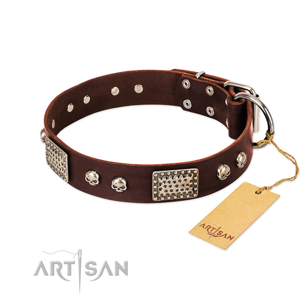 Easy to adjust leather dog collar for stylish walking your pet