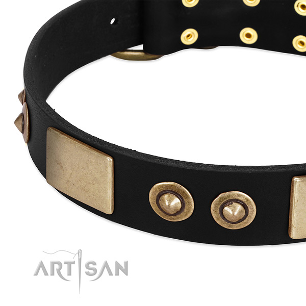 Strong adornments on full grain leather dog collar for your doggie
