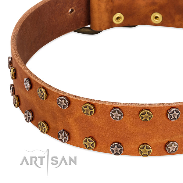 Everyday walking full grain natural leather dog collar with exquisite adornments