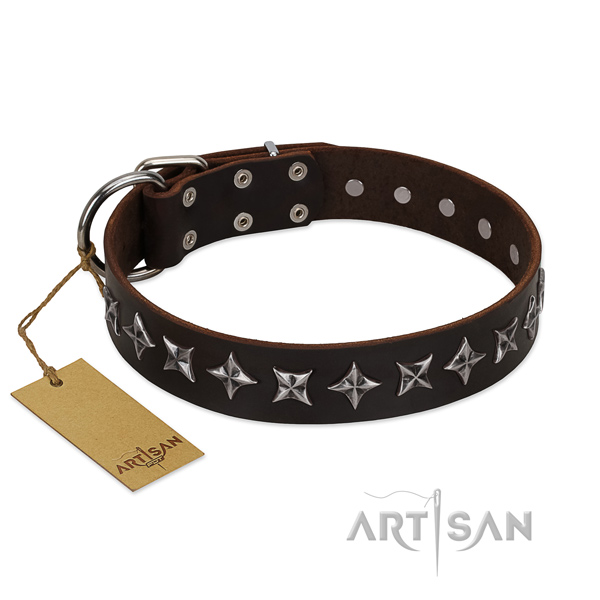 Stylish walking dog collar of best quality genuine leather with studs