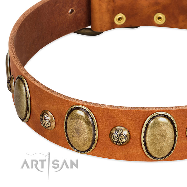 Full grain genuine leather dog collar with top notch studs