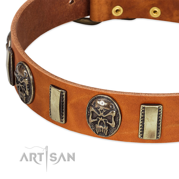 Durable adornments on full grain genuine leather dog collar for your dog