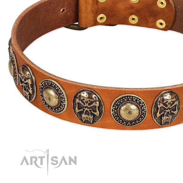 Rust-proof embellishments on natural leather dog collar for your pet