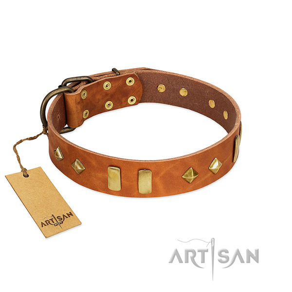 Everyday use reliable natural leather dog collar with studs