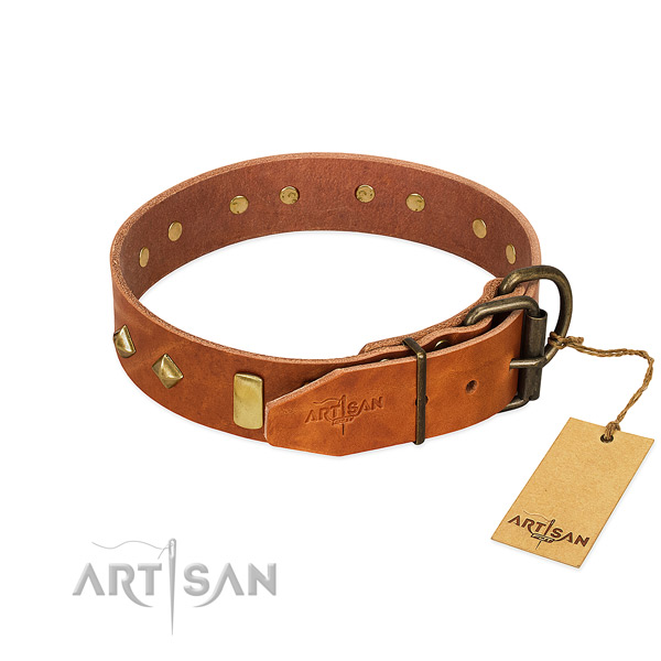 Stylish walking natural leather dog collar with designer adornments