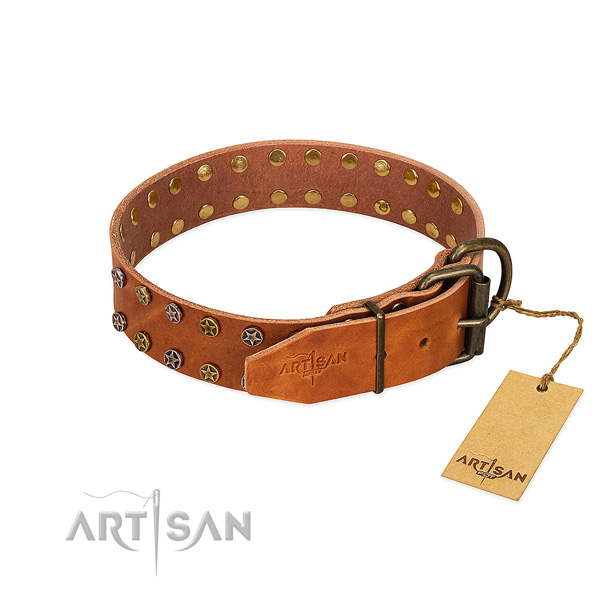 Everyday walking full grain leather dog collar with extraordinary adornments
