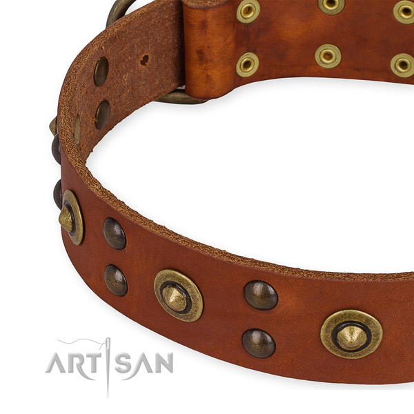 Full grain genuine leather collar with corrosion proof fittings for your beautiful doggie