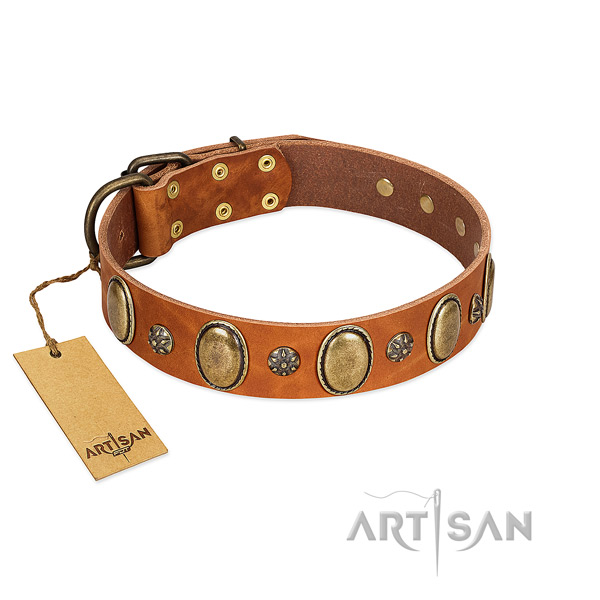 Stylish walking reliable genuine leather dog collar with studs