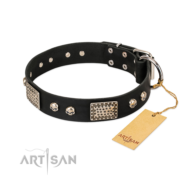 Adjustable full grain natural leather dog collar for everyday walking your four-legged friend