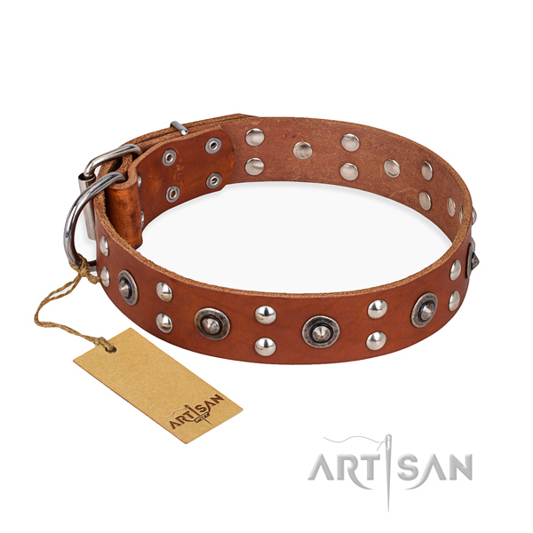 Stylish walking stylish design dog collar with reliable buckle