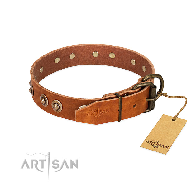 Rust-proof adornments on full grain genuine leather dog collar for your canine