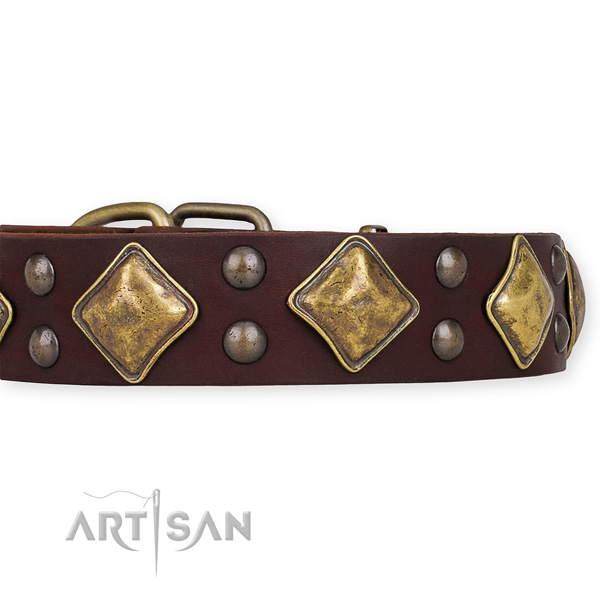 Full grain natural leather dog collar with awesome corrosion resistant decorations