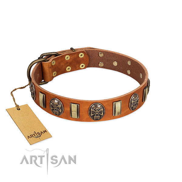 Stylish full grain natural leather dog collar for comfy wearing