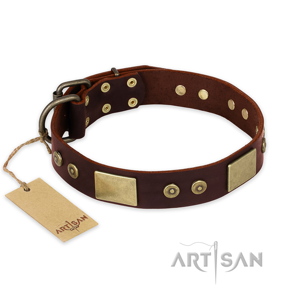 Unusual genuine leather dog collar for walking
