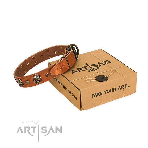 Reliable studs on full grain leather dog collar for your dog