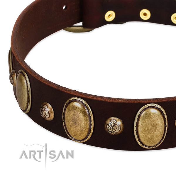 Genuine leather dog collar with trendy adornments